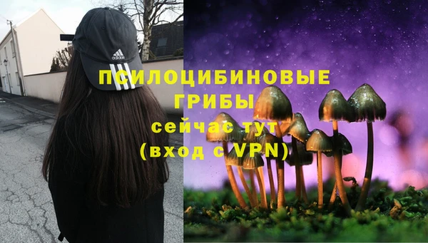 ГАЛЛЮЦИНОГЕННЫЕ ГРИБЫ Бронницы